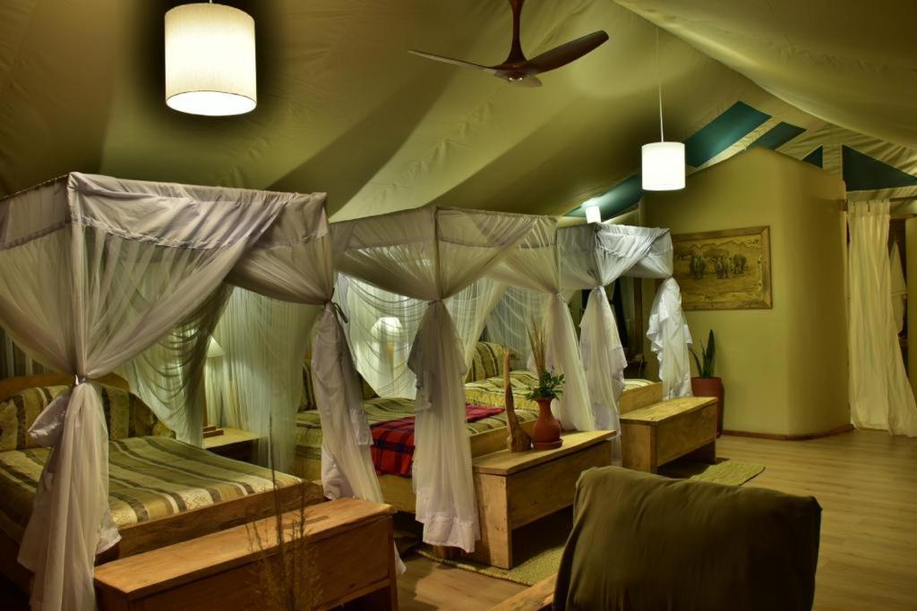Mara Maisha Camp Talek Exterior foto